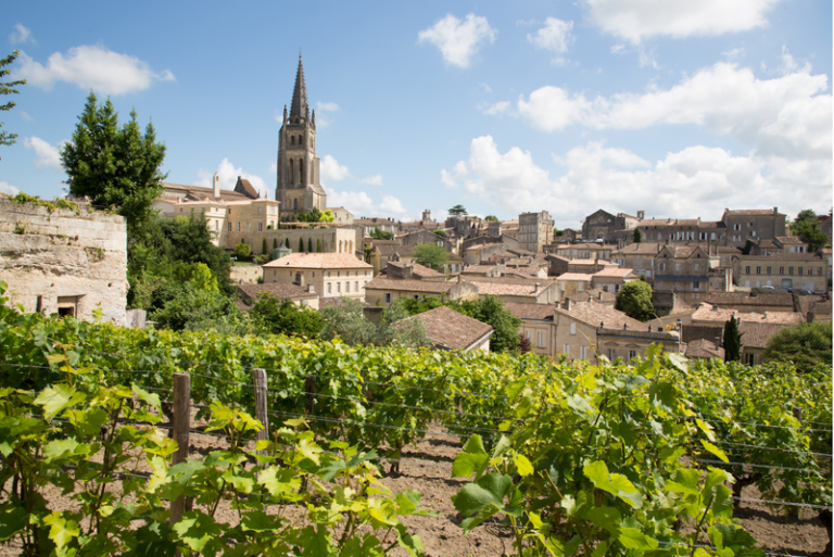 A vineyard overlooking Bordeaux, France