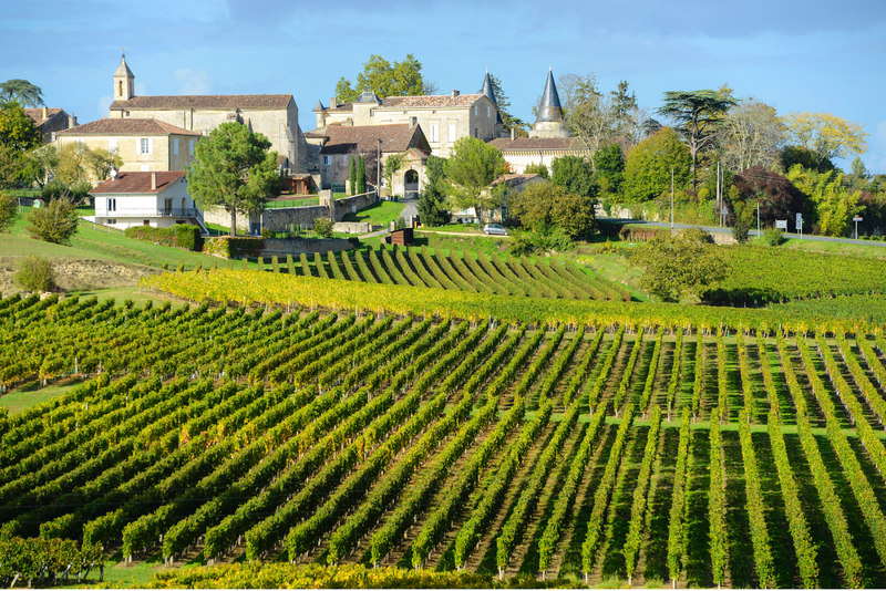 A French vineyard with buildings in the background